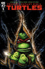 Teenage Mutant Ninja Turtles (2024) #01 Eastman Var Comics - Back Issues IDW