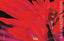 Spectregraph #03 Dell'Edera Var