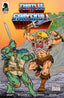 Masters of the Universe Teenage Mutant Ninja Turtles Turtles of Grayskull #01 Sakai Var