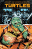 Teenage Mutant Ninja Turtles (2024) #02 Geoff Shaw Var Comics - Back Issues IDW