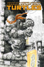 Teenage Mutant Ninja Turtles (2024) #02 Kevin Eastman Var Comics - Back Issues IDW