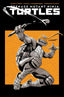 Teenage Mutant Ninja Turtles (2024) #02 Rafael Albuquerque Var Comics - Back Issues IDW