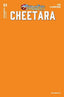 ThunderCats Cheetara #01 "Blank Orange" Var