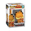 Pop Garfield 40 Garfield With Pooky