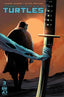 Teenage Mutant Ninja Turtles (2024) #03 Comics - Back Issues IDW