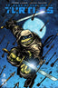 Teenage Mutant Ninja Turtles (2024) #03 Kevin Eastman Var Comics - Back Issues IDW
