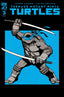 Teenage Mutant Ninja Turtles (2024) #03 Cliff Chiang "Pose" Var Comics - Back Issues IDW