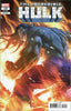 Incredible Hulk (2023) #19 Pete Woods Var Comics - Back Issues Marvel Comics