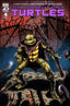 Teenage Mutant Ninja Turtles (2024) #04 Kevin Eastman Var Comics - Back Issues IDW