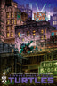 Teenage Mutant Ninja Turtles (2024) #04 1:25 Danny Earls Var Comics - Back Issues IDW