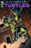 Teenage Mutant Ninja Turtles (2024) #04 1:50 Darick Robertson Var Comics IDW