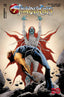 ThunderCats (2024) #11 Jae Lee & Chung Var