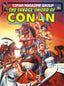 Savage Sword Of Conan The Original Comics Omnibus HC 05 Jusko Cvr Trades/Hard Covers Titan Comics
