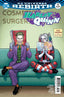 Harley Quinn (2016) #13 Frank Cho Var Comics - Back Issues DC Comics