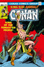 Conan the Barbarian The Original Comics Omnibus HC 05 Gil Kane Cvr Trades/Hard Covers Titan Comics
