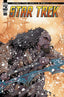 Star Trek (2022) #30 Travis Mercer Var Comics - Back Issues IDW