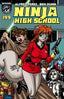 Ninja High School #199 Comics Antarctic Press