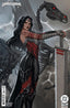 Absolute Wonder Woman #01 3rd Ptg Leirix Cvr