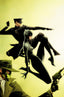 Green Hornet Miss Fury #03 1:20 Jae Lee & Chung Var