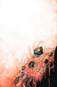 Terminator (2024) #06 Shalvey Foil Virgin Var