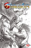 ThunderCats (2024) #14 1:10 Parrillo Var
