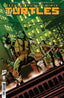 Teenage Mutant Ninja Turtles (2024) #08