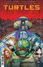Teenage Mutant Ninja Turtles (2024) #08 Ferreyra Var
