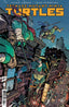Teenage Mutant Ninja Turtles (2024) #08 1:10 Ono Var