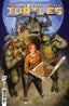 Teenage Mutant Ninja Turtles (2024) #07 Stjepan Sejic Var Comics - Back Issues IDW