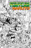 Teenage Mutant Ninja Turtles X Naruto #01 2nd Ptg 1:10 Jorge Corona "Sketch" Var Comics - Back Issues IDW