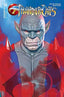 ThunderCats (2024) #14 Spears Foil Var