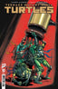 Teenage Mutant Ninja Turtles (2024) #10 Ferreyra Var Comics - Back Issues IDW