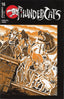 ThunderCats (2024) #16 Haeser Var Comics - Back Issues Dynamite Entertainment