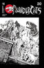 ThunderCats (2024) #16 1:20 Haeser Var