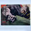 Marvel Fleer Ultra Midnight Sons 3x3 Connected Image Insert #2 of 9 - Danny Ketch Non-Sports Cards Upper Deck