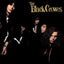 Black Crows - Shake Your Money Maker