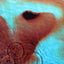 Pink Floyd - Meddle Media Pink Floyd Records