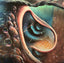 Pink Floyd Meddle Reimagined A Tribute To Pink Floyd - Various Artists Media Cleopatra Records