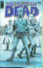 Walking Dead #042 Comics - Back Issues Image Comics