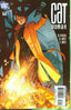 Catwoman (2002) #71 Comics - Back Issues DC Comics