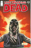 Walking Dead #043 Comics - Back Issues Image Comics