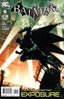 Batman Arkham City #05