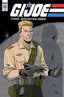 GI Joe a Real American Hero (2010) #253 Comics IDW