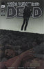 Walking Dead #100 Charlie Adlard Chromium Edition Comics - Back Issues Image Comics