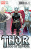 Thor God of Thunder #01 1:25 Esad Ribic Var