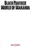 Black Panther World of Wakanda #01 "Blank" Var