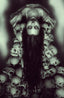 Hello Darkness #10 1:10 Puebla Var Comics - Back Issues Boom! Entertainment