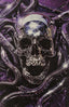 Chamberlains #02 Skull "Metal" Var Comics - Back Issues Ex Posse Holdings