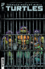 Teenage Mutant Ninja Turtles (2024) #11 Eastman Var Comics IDW