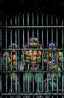 Teenage Mutant Ninja Turtles (2024) #11 1:10 Eastman Var Comics - Back Issues IDW